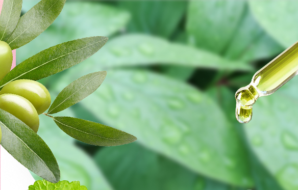 【使用感満足度97.4%】再生医療技術から着想した植物幹細胞エキス配合 「ドラゴンズシークレットマスク」が新発売