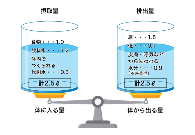 冬のボディは水分不足。あと2杯、水を飲もう！